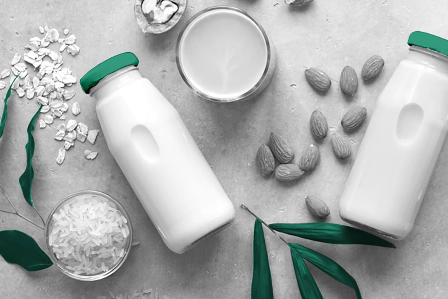 Food and beverage packaging with a milk jug, food containers, and more