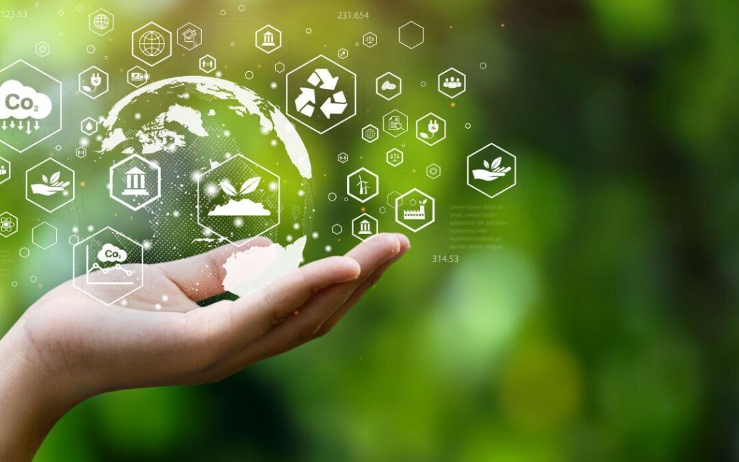 Advancing Sustainability: The Rise of Eco-Friendly Packaging Materials