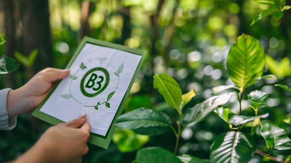 B Corporation Certification for Sustainability.