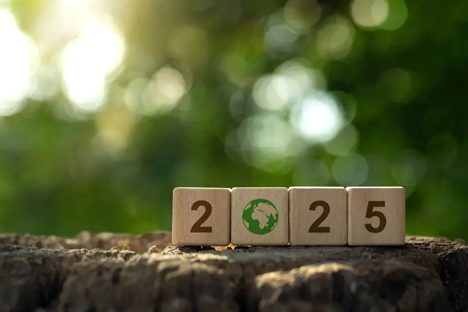 Nature background, with blocks that say 2025.